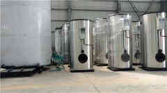  燃气锅炉生产商乐动网站网页版 15290601789