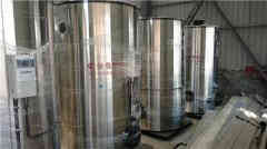 节能蒸汽锅炉厂家