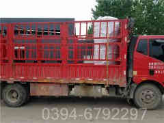 天然气常压热水锅炉