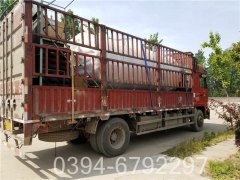 品牌直销河南锅炉WNS0.5-1.0-Q型环保燃气锅炉