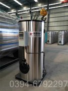 2吨低氮燃气锅炉