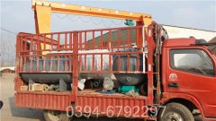 十吨燃气低氮锅炉