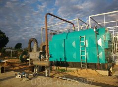 12吨低氮燃气锅炉