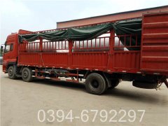 6吨洗浴热水锅炉