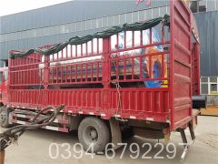 12吨热水专用锅炉