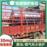 WNS12-1.25-QY冷凝蒸汽锅炉乐动网站网页版