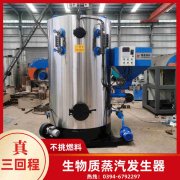 WNS10-1.25-QY节能蒸汽锅炉太康县银晨锅炉有限公司