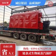 WNS20-1.25-QY三回程蒸汽锅炉乐动网站网页版