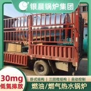 WNS4-1.25-QY冷凝蒸汽锅炉太康县银晨锅炉有限公司