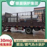 WNS5-1.25-QY燃气蒸汽锅炉乐动网站网页版