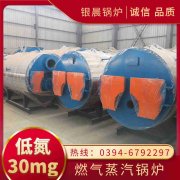 WNS0.7-1.0-QY燃气蒸汽锅炉乐动网站网页版