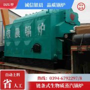 WNS0.7-1.0-QY低氮蒸汽锅炉太康县银晨锅炉有限公司