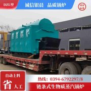 WNS0.7-1.0-QY柴油蒸汽锅炉银晨锅炉客户服务