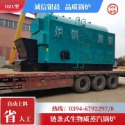 WNS0.3-0.7-QY冷凝蒸汽锅炉乐动网站网页版