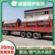 WNS0.3-0.7-QY低氮冷凝蒸汽锅炉乐动网站网页版