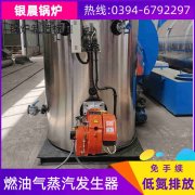 15吨燃气蒸汽锅炉银晨锅炉
