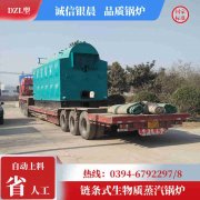 8吨环保蒸汽锅炉乐动网站网页版