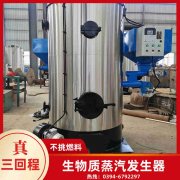 0.3吨低氮冷凝蒸汽锅炉乐动网站网页版