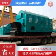 0.2吨冷凝蒸汽锅炉乐动网站网页版