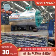 0.2吨低氮蒸汽锅炉乐动网站网页版