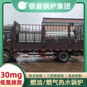 生物质锅炉厂家排名