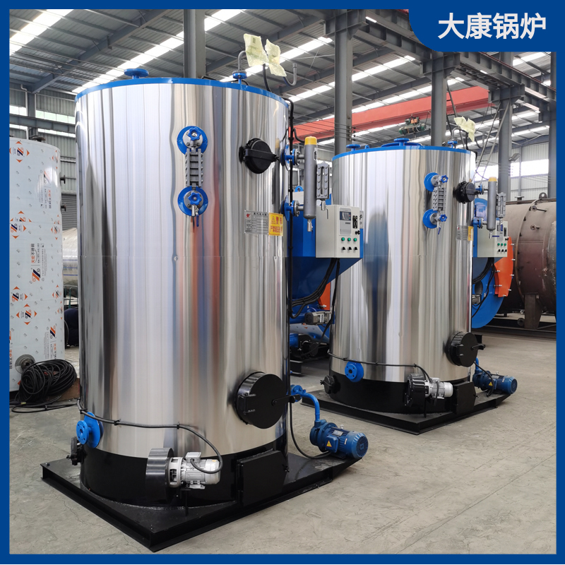 烧生物质锅炉厂家