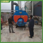 燃煤蒸汽锅炉工作原理WNS6,专业研制开发生产