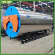 吉林15万大卡低氮导热油炉