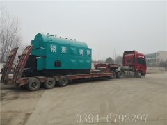 4吨链条生物质蒸汽锅炉